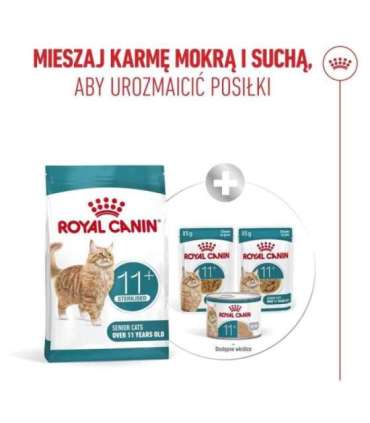 ROYAL CANIN Ageing 11+ Sterilised - dry cat food - 4kg