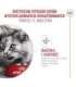 ROYAL CANIN Ageing 11+ Sterilised - dry cat food - 4kg