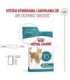 ROYAL CANIN Ageing 15+ - dry cat food - 2kg