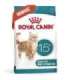 ROYAL CANIN Ageing 15+ - dry cat food - 2kg