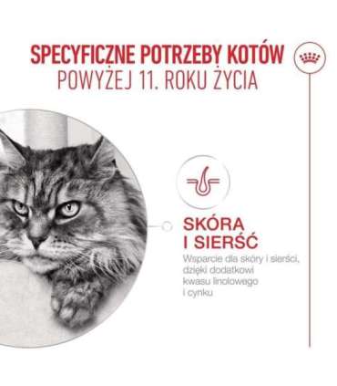 ROYAL CANIN Ageing 11+ - dry cat food - 2kg