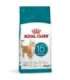 ROYAL CANIN Ageing 15+ - dry cat food - 4kg