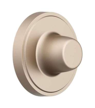 Hanger for Dreame Glory