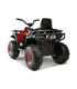 Electric Quad XMX607 Red Painted
