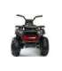 Electric Quad XMX607 Red Painted