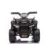 Electric Quad JS320 Black