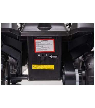 Electric Quad JS320 Black