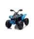 Electric Ride On Quad CAN-AM Renegate Blue
