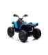 Electric Ride On Quad CAN-AM Renegate Blue