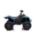 Electric Ride On Quad CAN-AM Renegate Blue