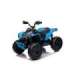 Electric Ride On Quad CAN-AM Renegate Blue