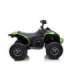 Electric Ride On CAN-AM Renegate Green