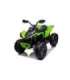 Electric Ride On CAN-AM Renegate Green