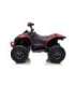 Electric Ride On Quad CAN-AM Renegate Red