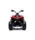 Electric Ride On Quad CAN-AM Renegate Red