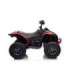 Electric Ride On Quad CAN-AM Renegate Red