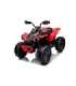 Electric Ride On Quad CAN-AM Renegate Red