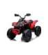 Electric Ride On Quad CAN-AM Renegate Red