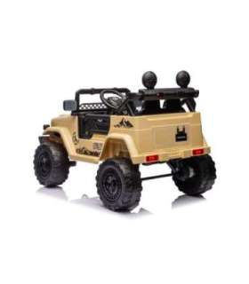 Auto Battery Toyota FJ Khaki 4x4