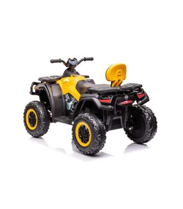Quad Battery S615 Yellow 24V
