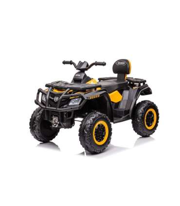 Quad Battery S615 Yellow 24V