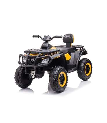 Quad Battery S615 Yellow 24V