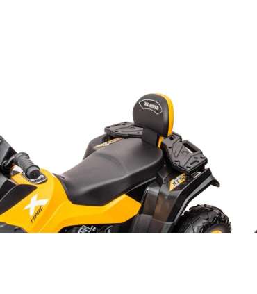 Quad Battery S615 Yellow 24V