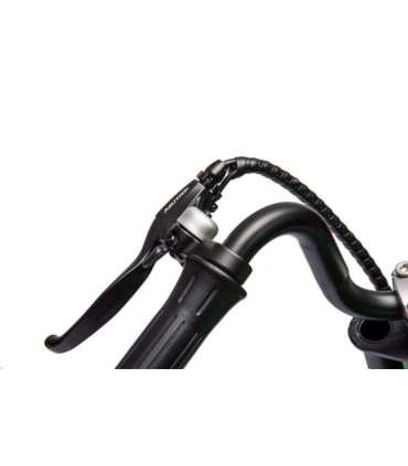 Battery-powered Motor A9902 36V Green