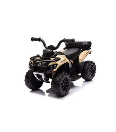 Quad Battery GTS1155 Khaki