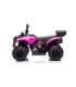 GTS1155 Pink Battery Quad