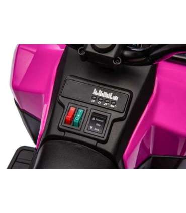 GTS1155 Pink Battery Quad
