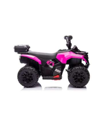 GTS1155 Pink Battery Quad