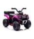 GTS1155 Pink Battery Quad