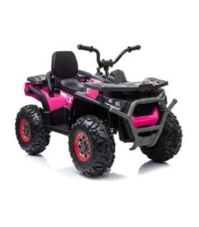 Quad Battery XMX607 Pink