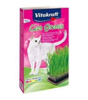 VITAKRAFT Cat Grass - grass seeds - 50 g