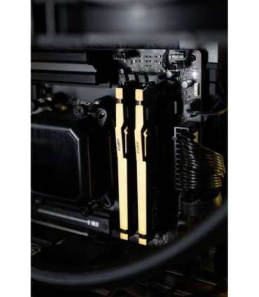 .Actina Gaming GameOn