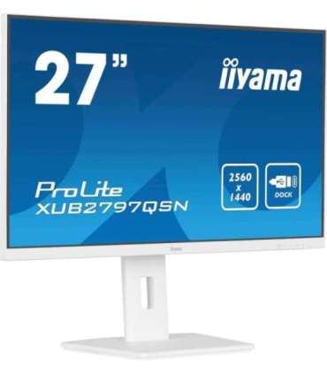 27’’ QHD IPS technology panel with USB-C dock and RJ45 (LAN)
