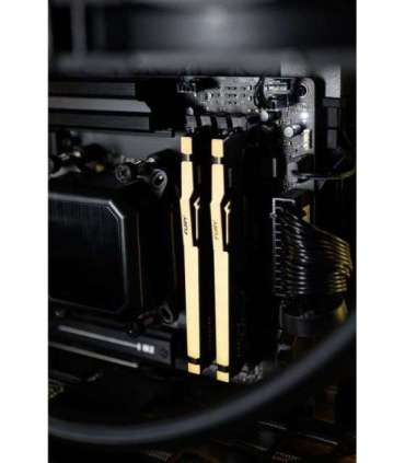 .Actina Gaming GameOn