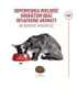 ROYAL CANIN Savour Exigent - dry cat food - 10kg