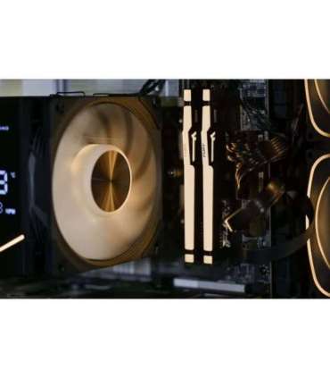 .Actina Gaming GameOn