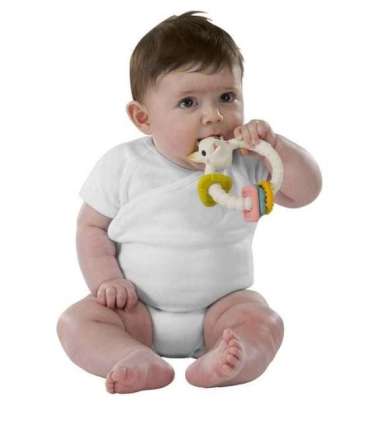 Sophie la girafe 220120 teether