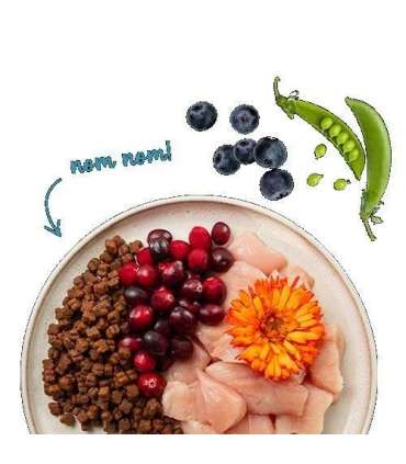 BOSCH Sanabelle Kitten Kurczak 2kg