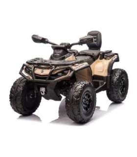 Quad Battery 4x4 DK-CA 005 4x200W 24V Khaki