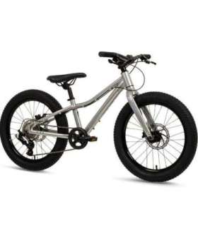 Batch Bicycles 20" MTB SILVER