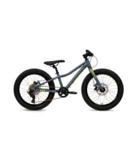 Batch Bicycles 20" MTB CHAMELEON