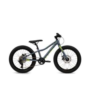 Batch Bicycles 20" MTB CHAMELEON