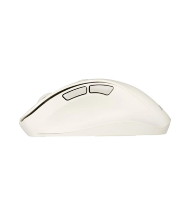 Asus MD105 MOUSE/MK-WH//BT+2.4GHZ