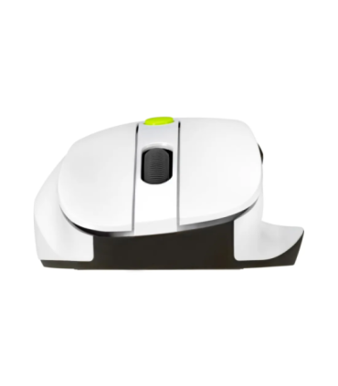 Asus MD105 MOUSE/VT-GN//BT+2.4GHZ