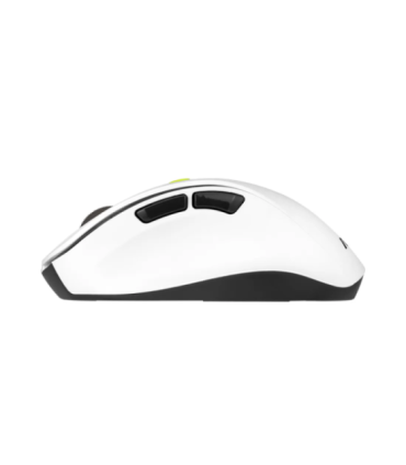 Asus MD105 MOUSE/VT-GN//BT+2.4GHZ
