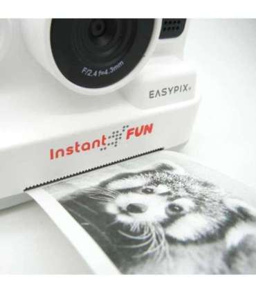Easypix InstantFUN camera 10095